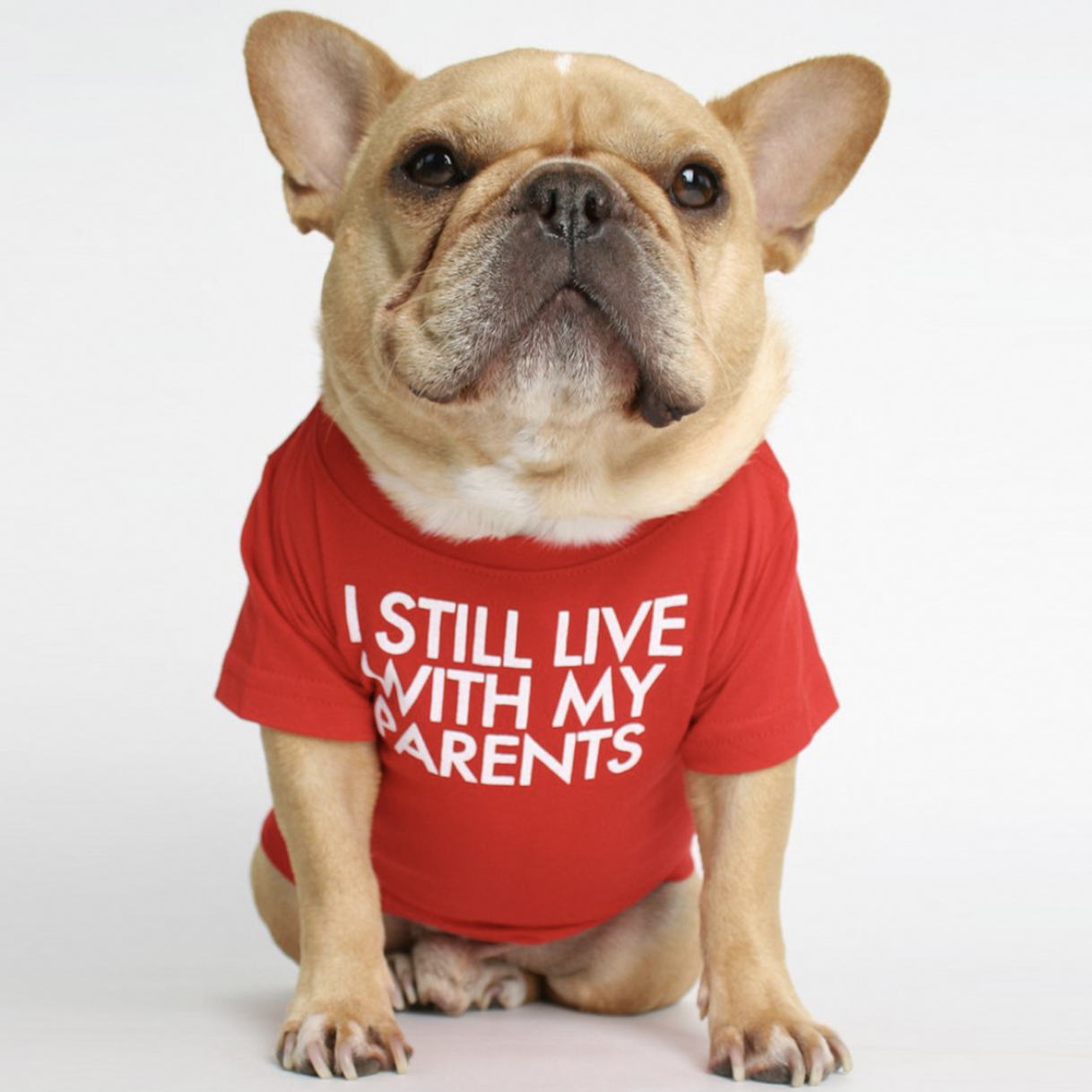 Small Dog Summer Clothes-Petboxok