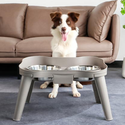 Rimmed Bowl with Elevated Stand-Petboxok