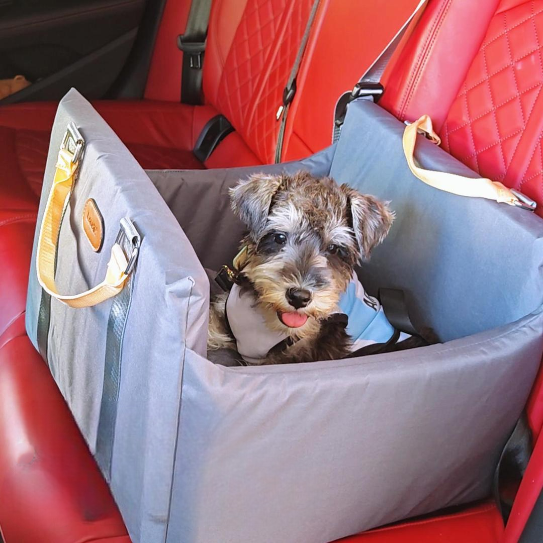 Waterproof Pet Car Bed-Petboxok
