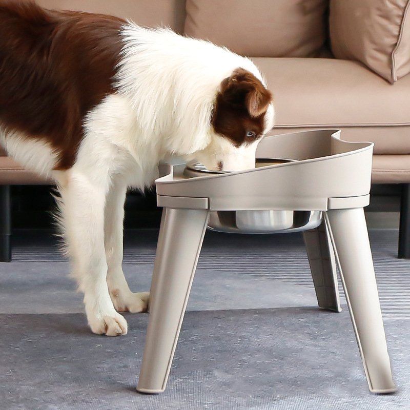 Rimmed Bowl with Elevated Stand-Petboxok