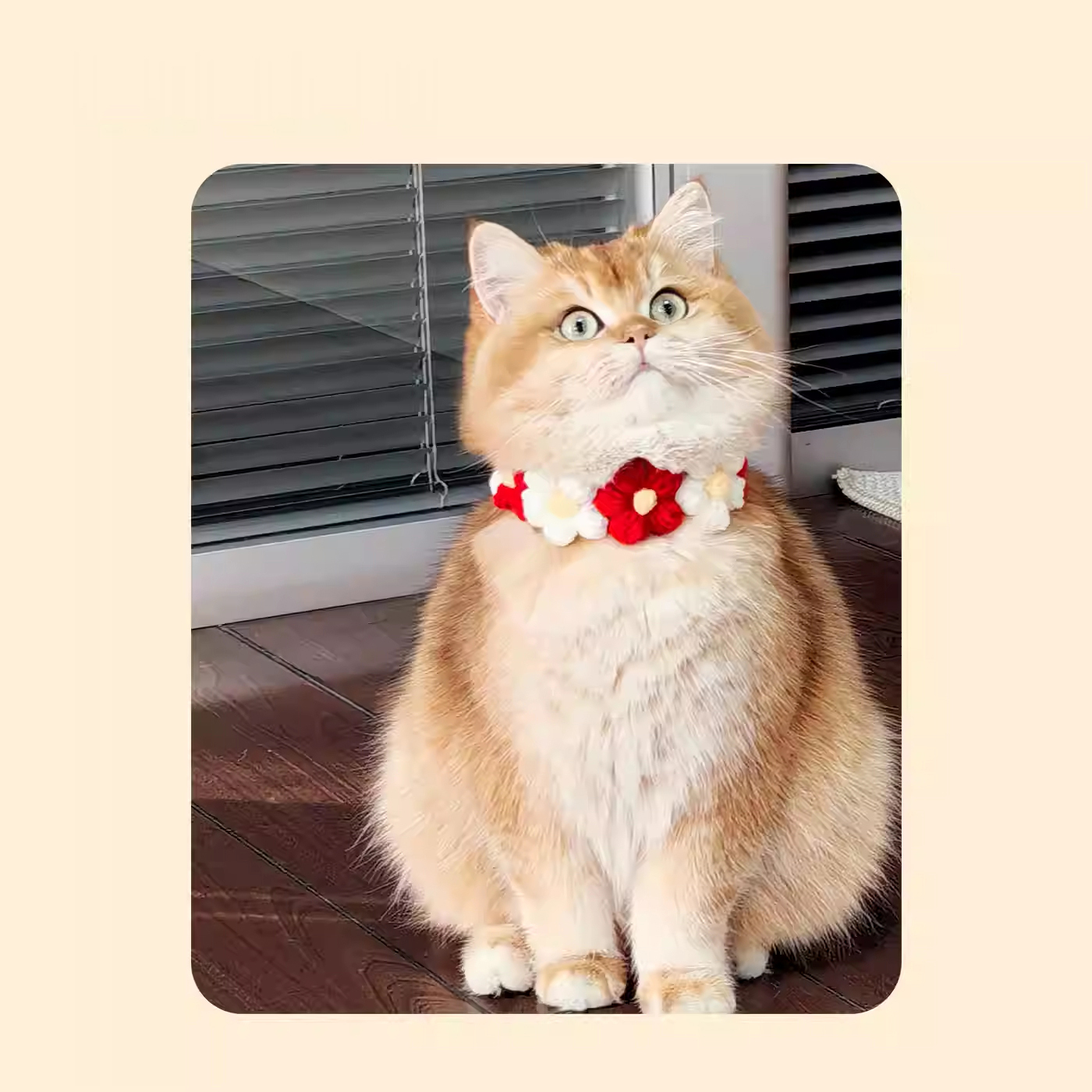 Polka Dot Pet Bow Tie-Petboxok