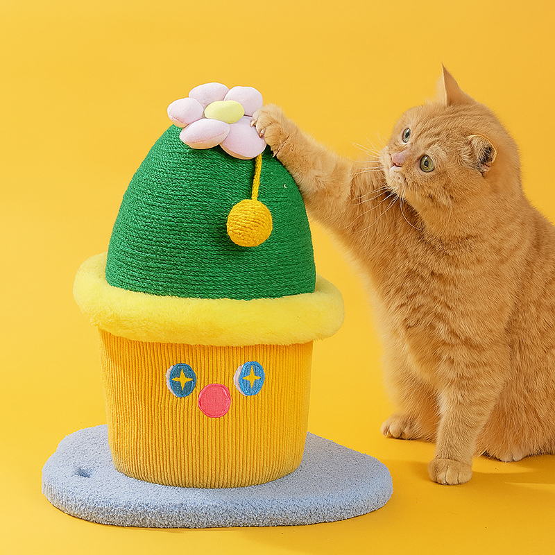 Cactus Potted Scratching Toy