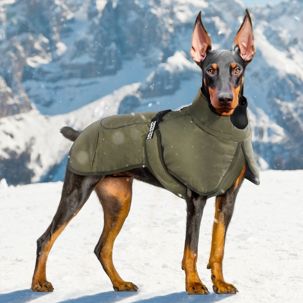Windproof Waterproof Reflective Dog Jacket-Petboxok