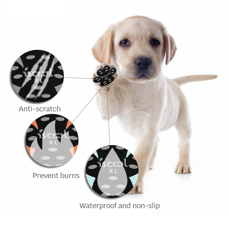 Beach Invisible Dog Sticker Insoles-Petboxok