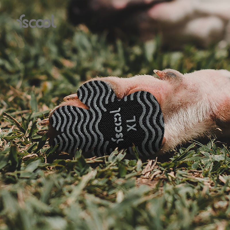 Anti-Scratch Pet Insoles-Petboxok