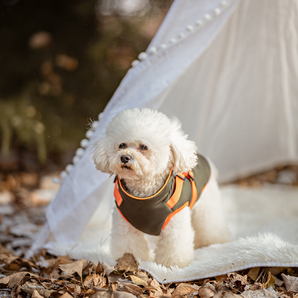 Winter pet cotton coat-Petboxok