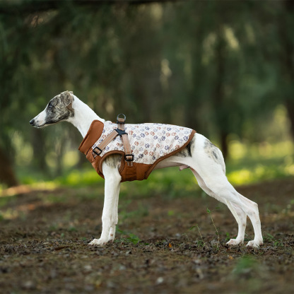 Winter Dog Jacket-Petboxok