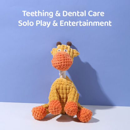 Pet Squeaky Plush Toy-Petboxok