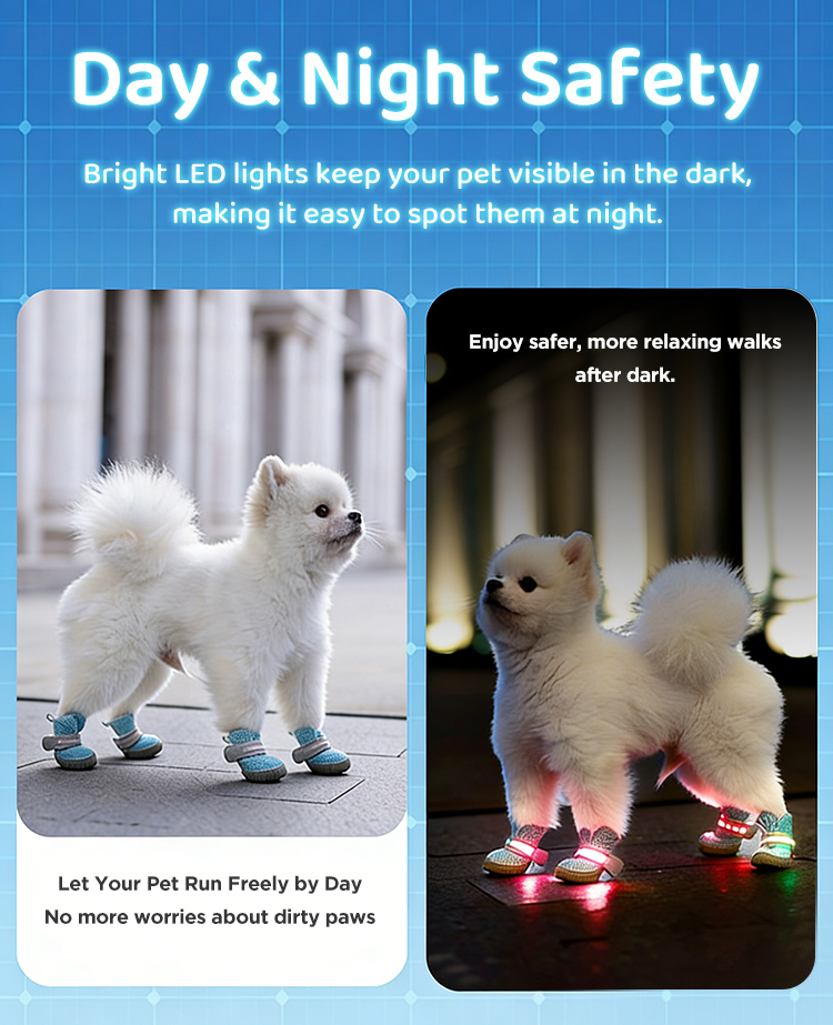LED Elastic Pet Shoes