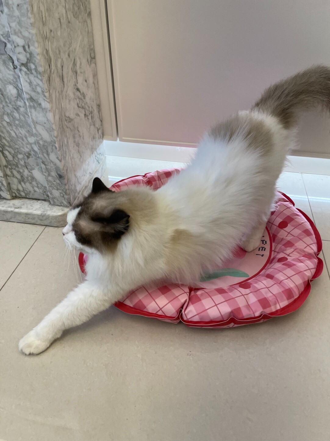 Summer Peach Pet Cooling Mat-Petboxok