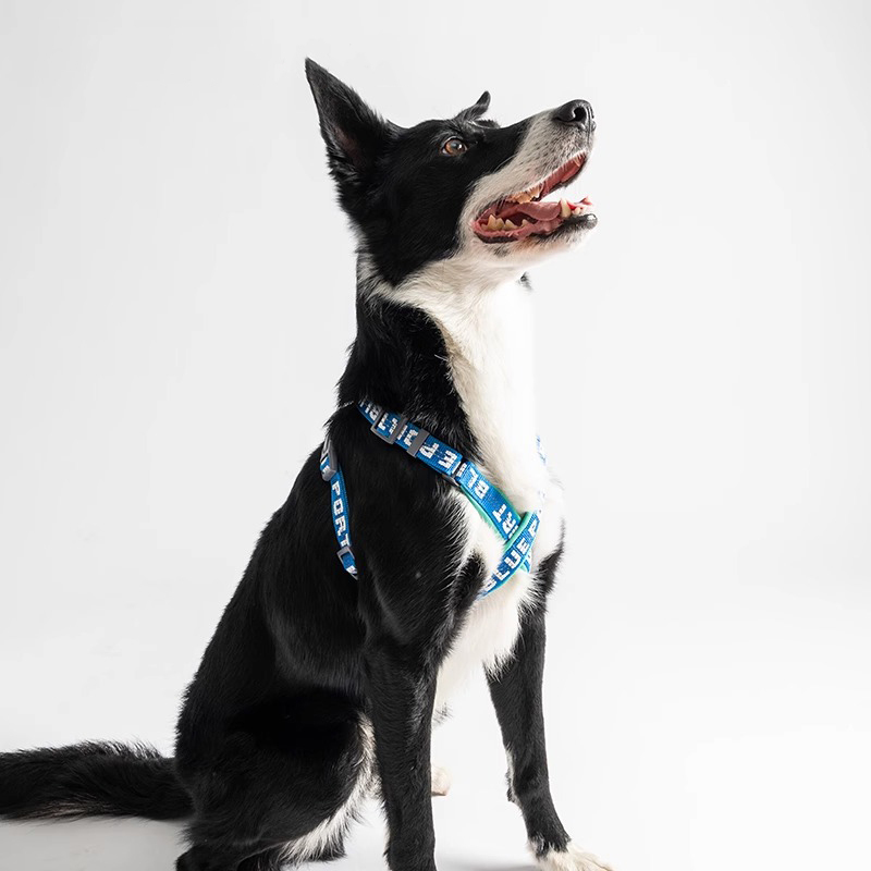 X-Shaped Dog Harness-Petboxok