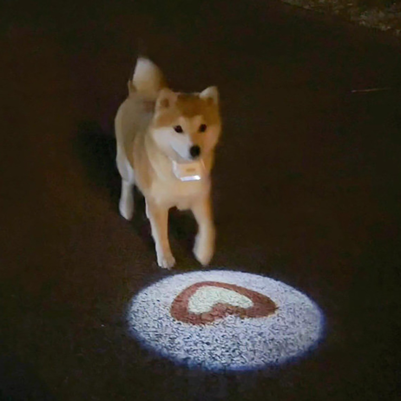 Night Dog Walking Light