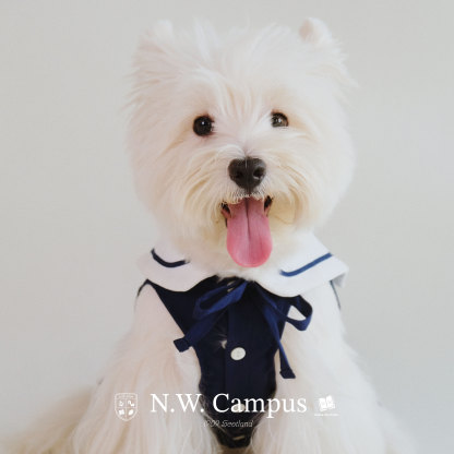 N.W. Campus 1909 Embroidered Pet Sailor Uniform
