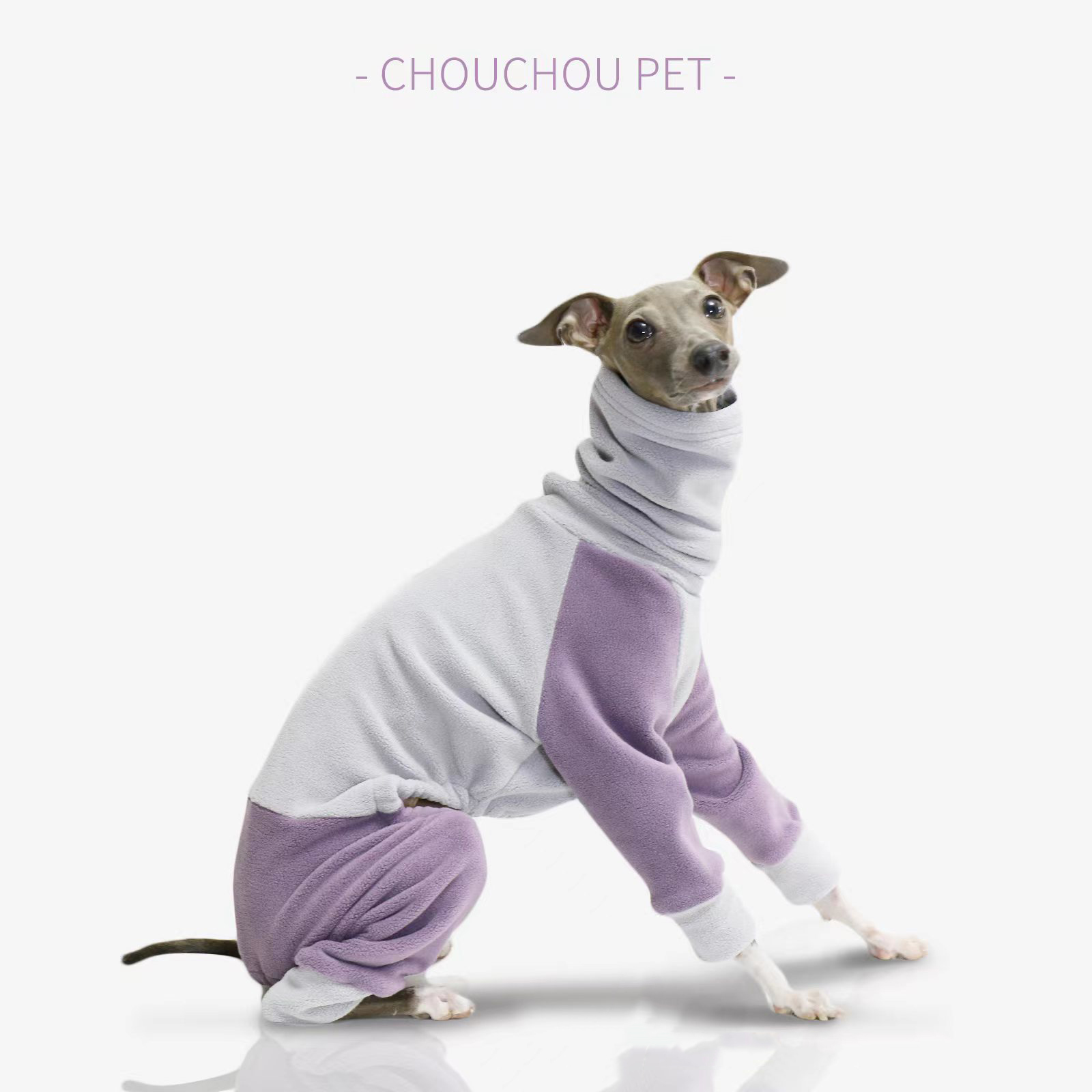 Winter Dog Coat with High Collar -Petboxok