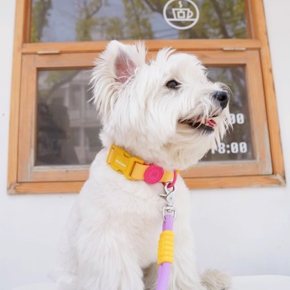 Waterproof Dog Collar-Petboxok