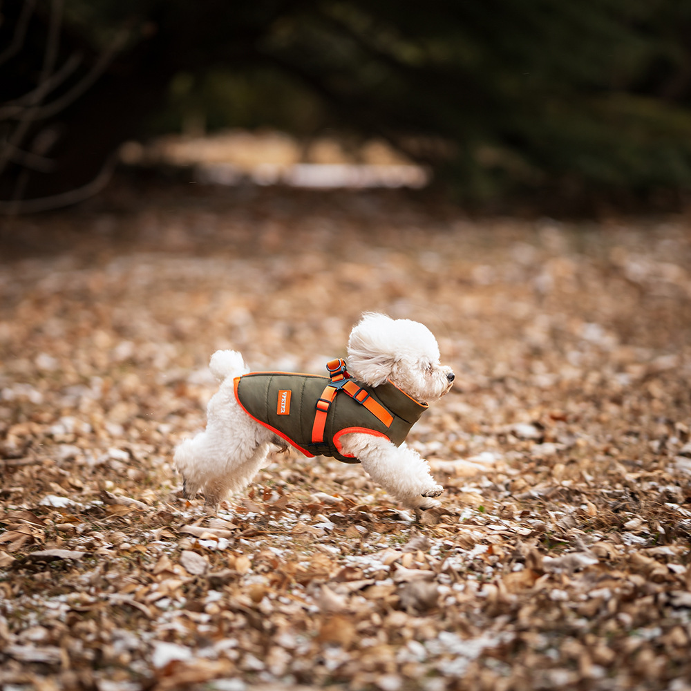 Winter pet cotton coat-Petboxok