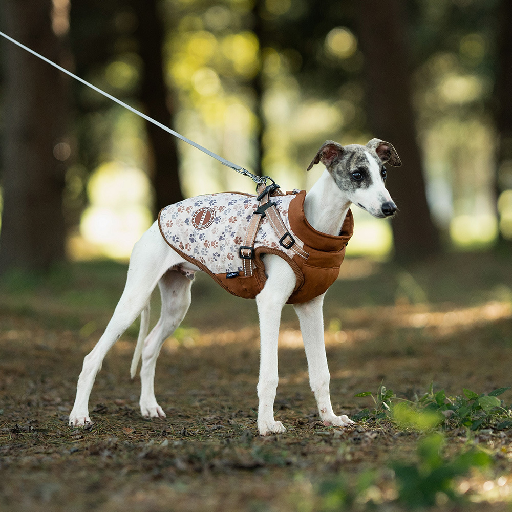 Winter Dog Jacket-Petboxok