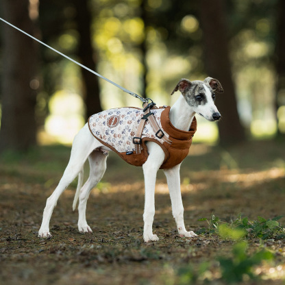 Winter Dog Jacket-Petboxok