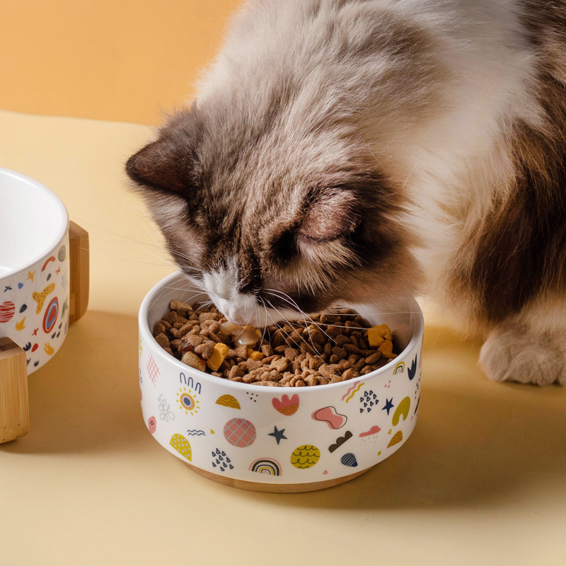 Ceramic Pet Bowl with Bamboo Base-Petboxok
