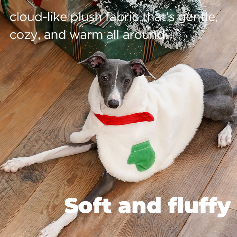 Christmas Snowman Pet Cape