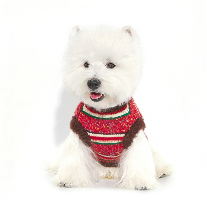 Pet Winter Sweater