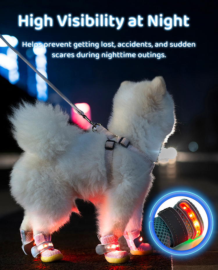 LED Elastic Pet Shoes