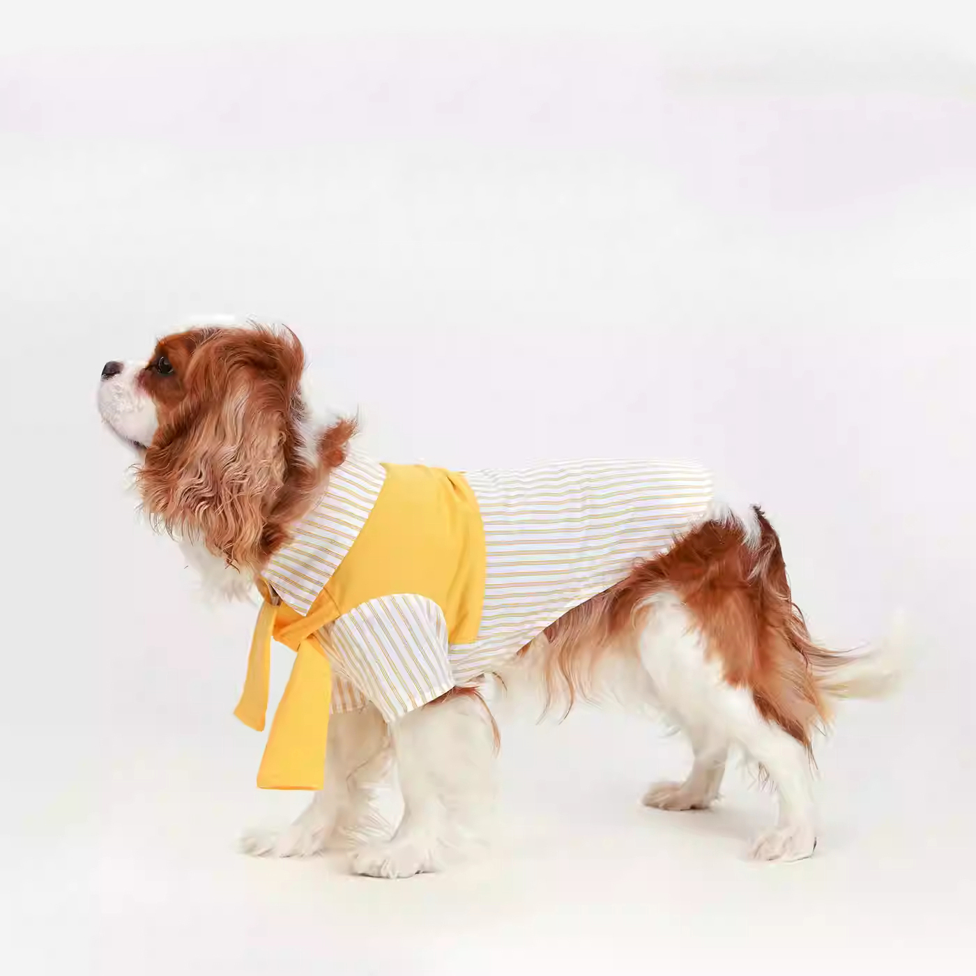 Striped Layered-Look Cotton Shirt-Petboxok