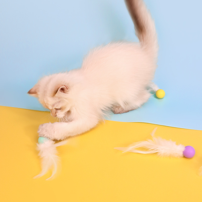 Colorful Feather Bounce Ball
