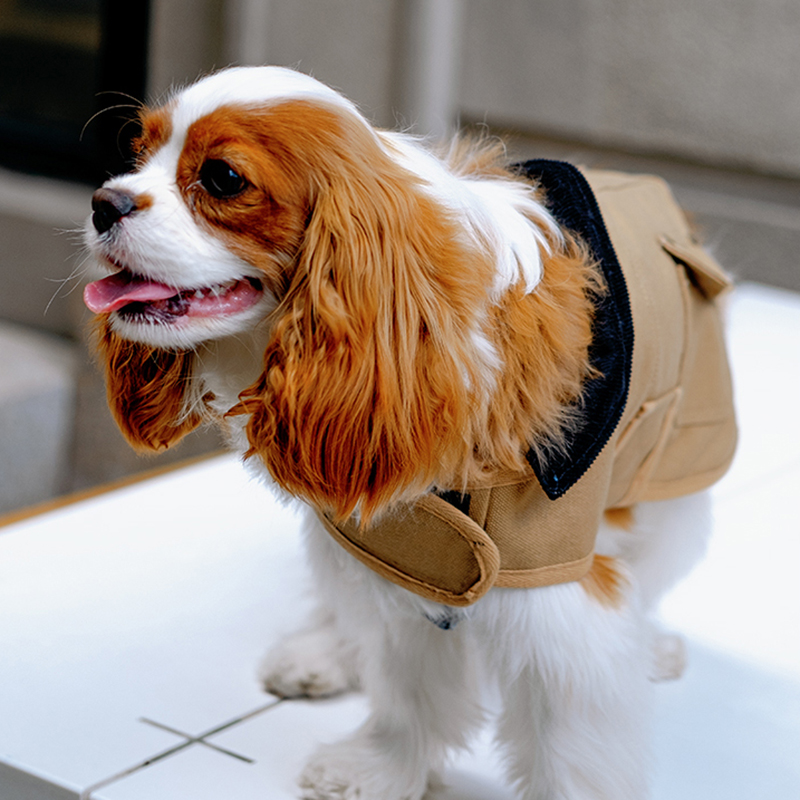 Pet Barn-Style Utility Jacket-Petboxok