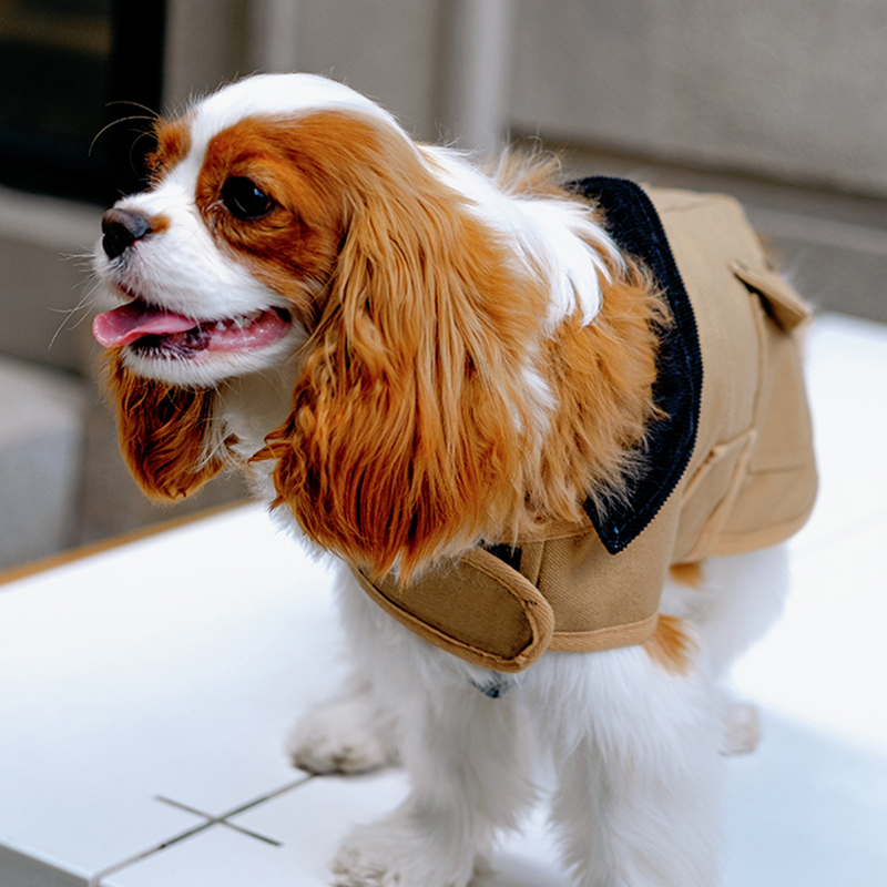 Pet Barn-Style Utility Jacket-Petboxok