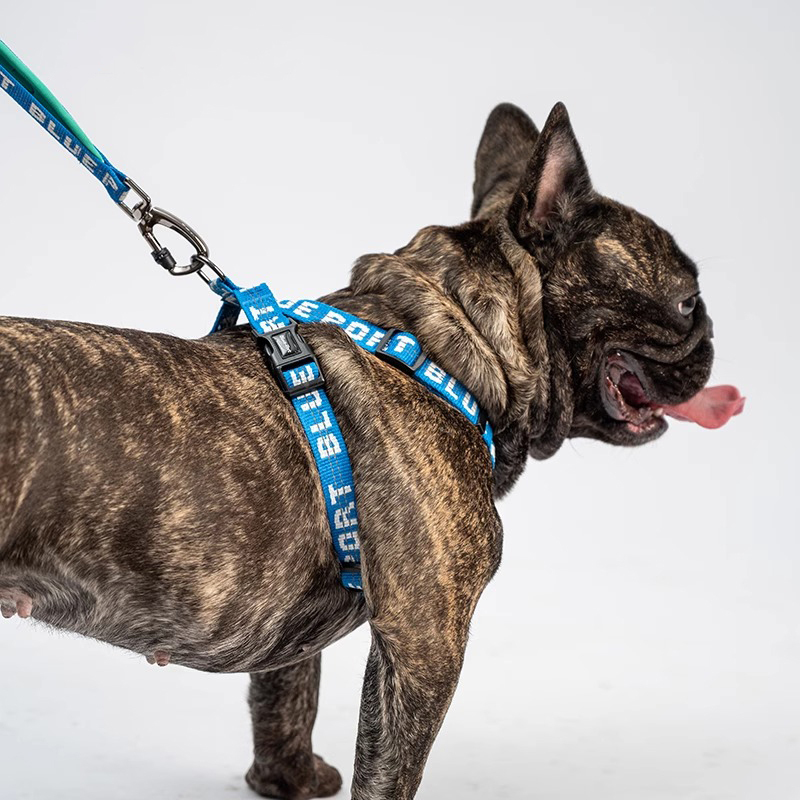 X-Shaped Dog Harness-Petboxok