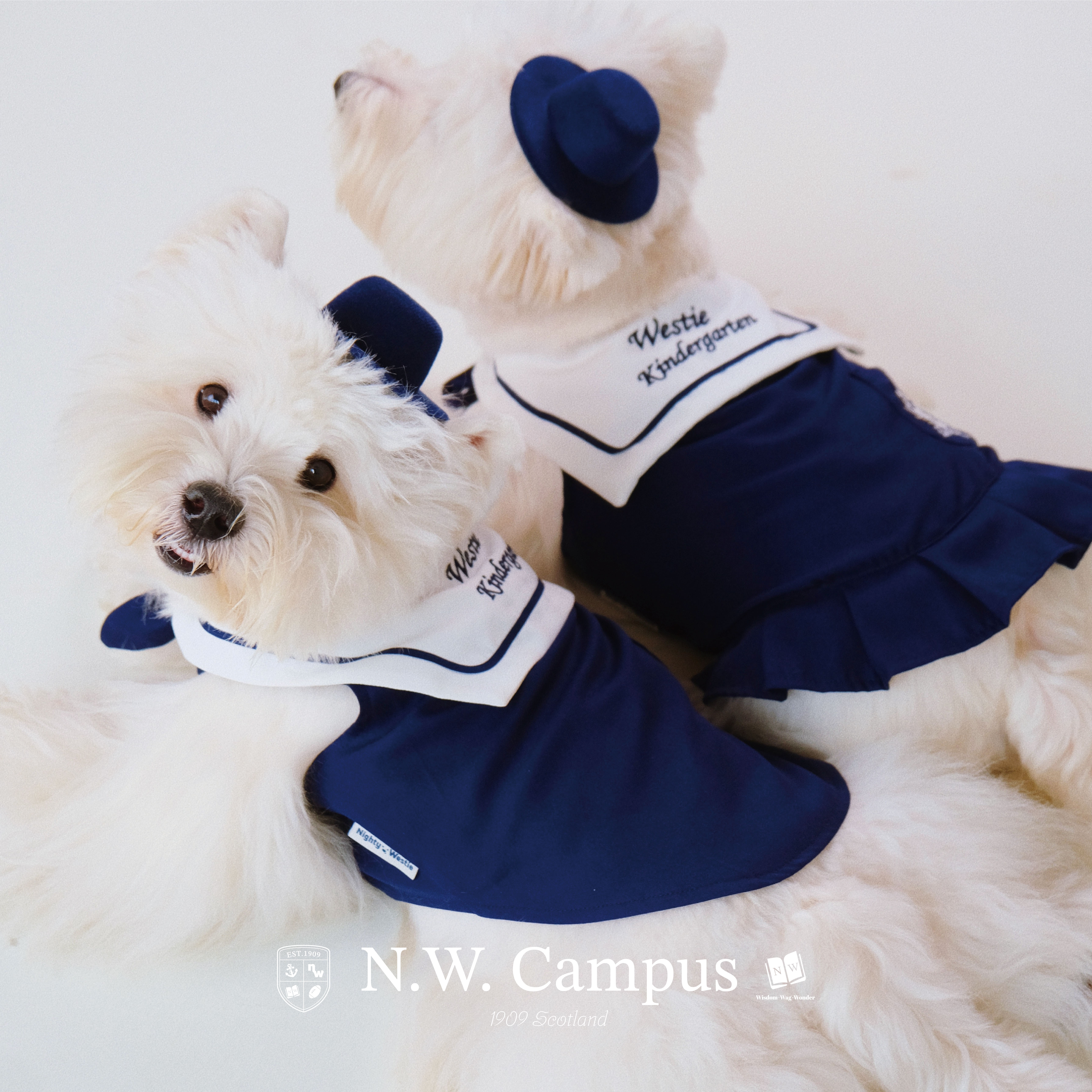 N.W. Campus 1909 Embroidered Pet Sailor Uniform