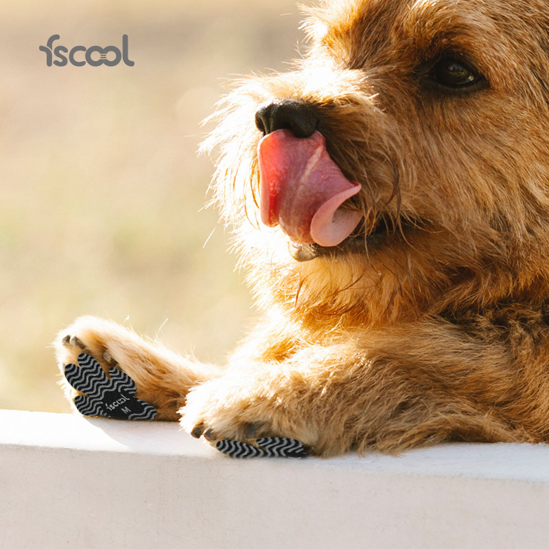 Anti-Scratch Pet Insoles-Petboxok