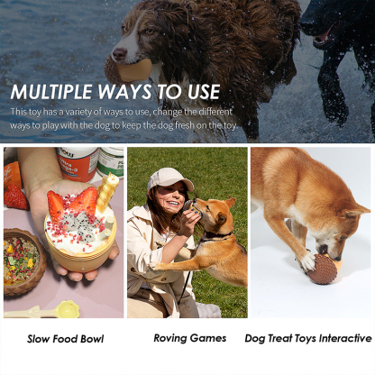 Interactive dog toy-Petboxok