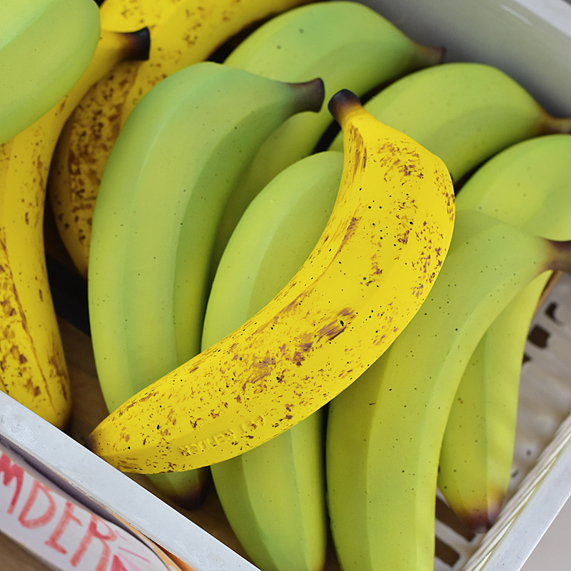 Pet Chew Toy with Noise Maker-Petboxok