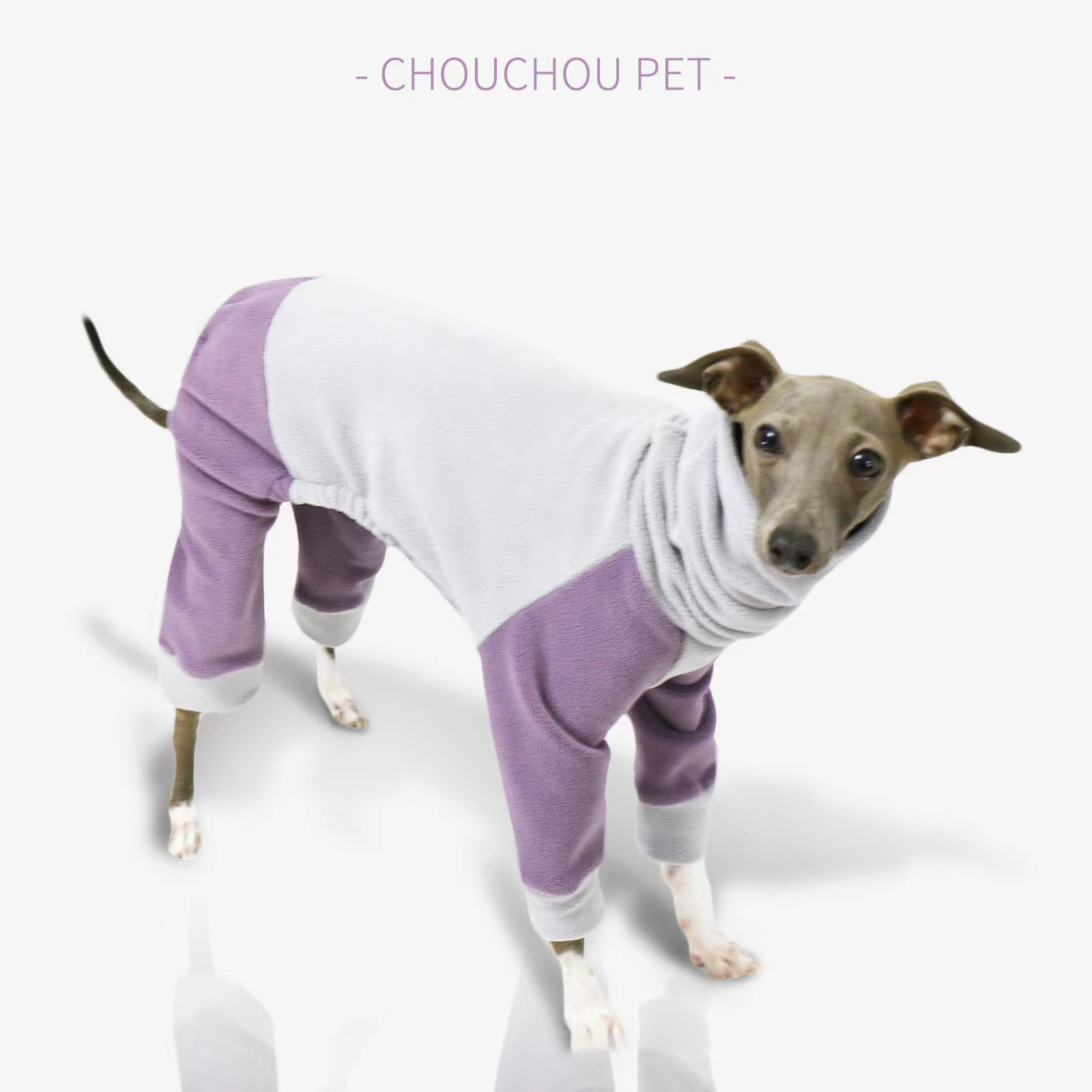 Winter Dog Coat with High Collar -Petboxok