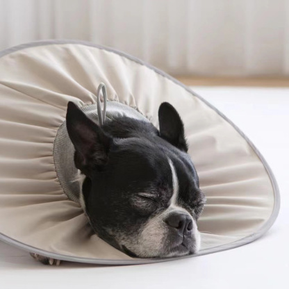 Pet Recovery Collar-Petboxok