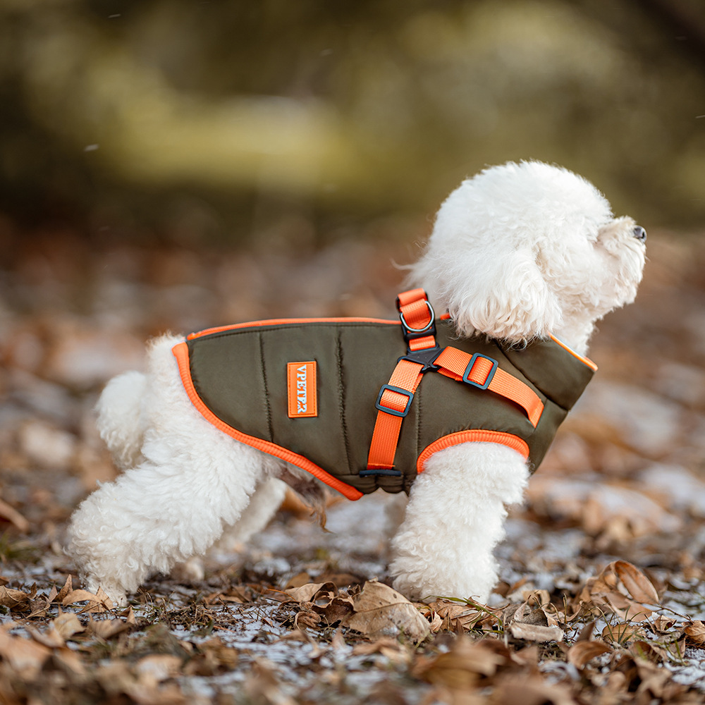Winter pet cotton coat-Petboxok