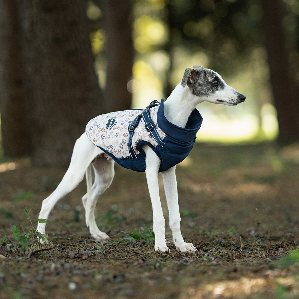 Winter Dog Jacket-Petboxok