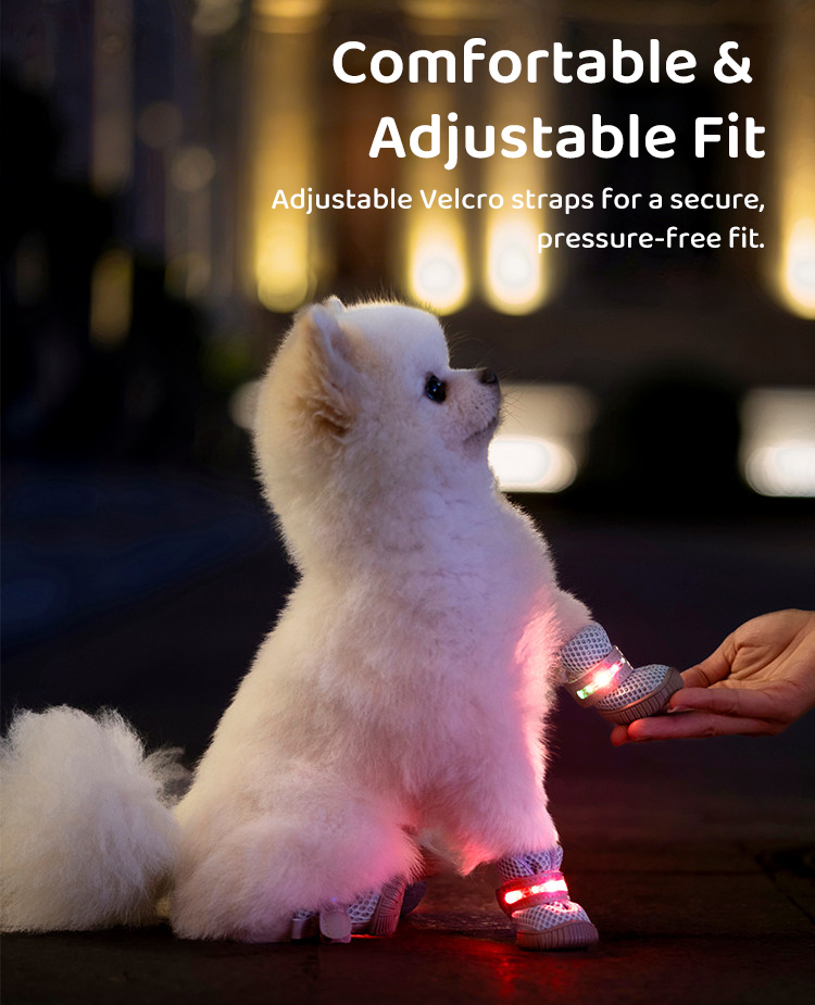 LED Elastic Pet Shoes