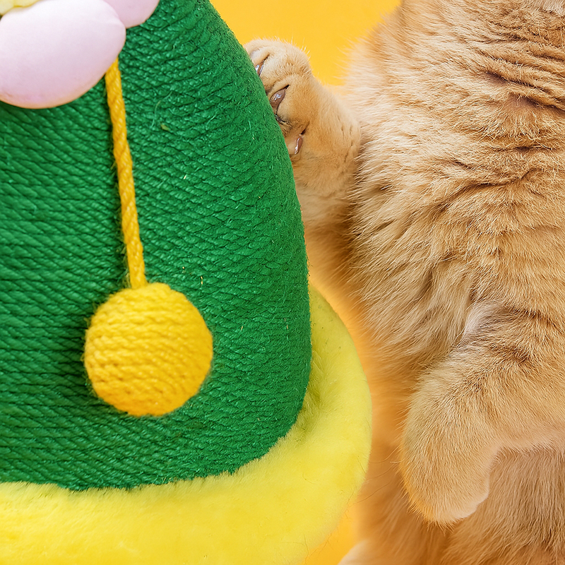 Cactus Potted Scratching Toy