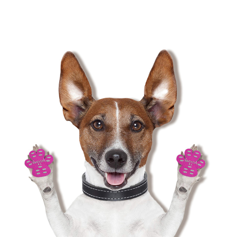 Beach Invisible Dog Sticker Insoles-Petboxok