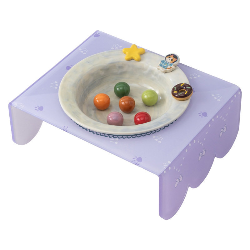 Ceramic Elevated Cat Bowl with Stand
