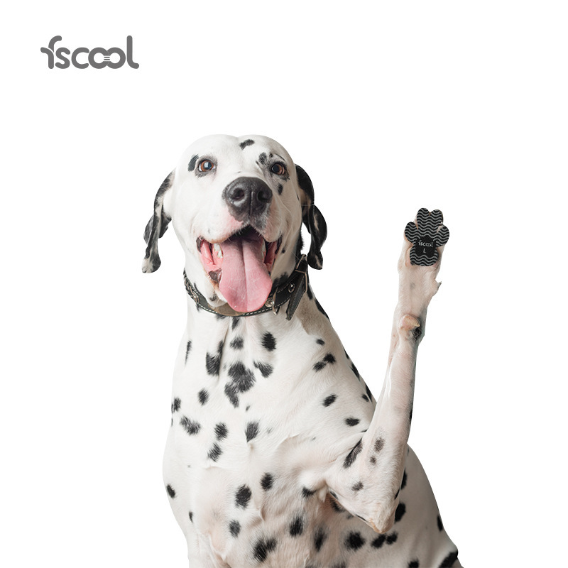 Anti-Scratch Pet Insoles-Petboxok