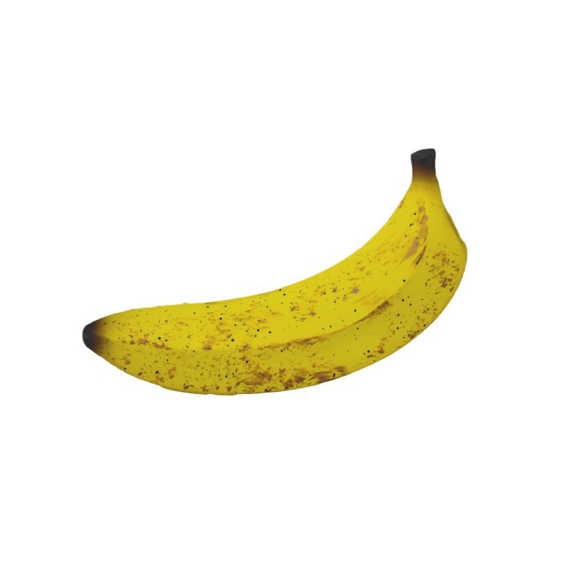 Pet Chew Toy with Noise Maker-Petboxok