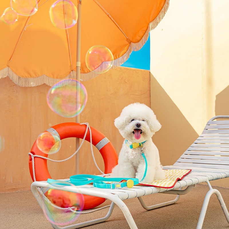 Waterproof Dog Collar-Petboxok