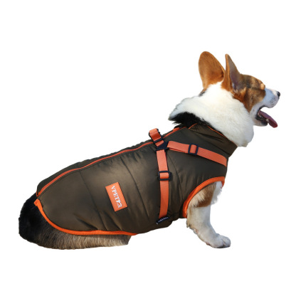 Winter pet cotton coat-Petboxok
