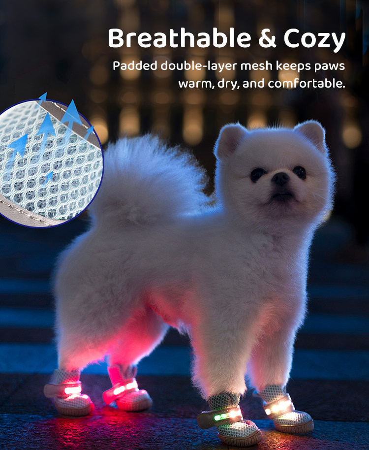 LED Elastic Pet Shoes