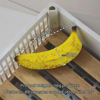 Pet Chew Toy with Noise Maker-Petboxok