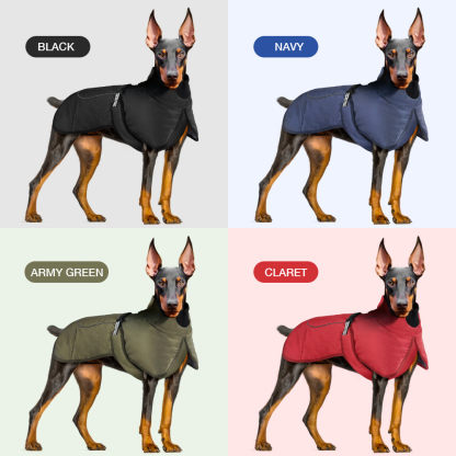 Windproof Waterproof Reflective Dog Jacket-Petboxok